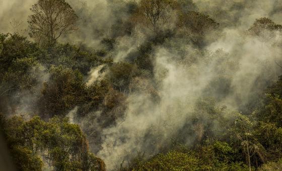 Brasil reforça combate ao desmatamento e ação climática